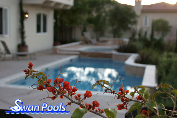 Dependable Custom Swimming Pool Builder.  At Swan Pools, we believe in dreams. Your dreams!